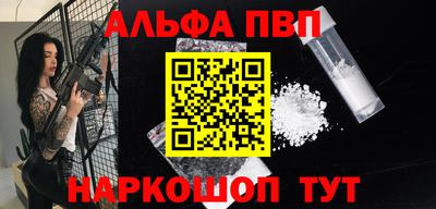 хмурый Кингисепп
