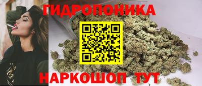 хмурый Кингисепп