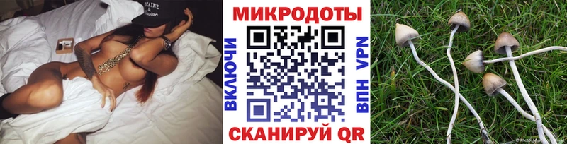 Галлюциногенные грибы прущие грибы  Георгиевск 