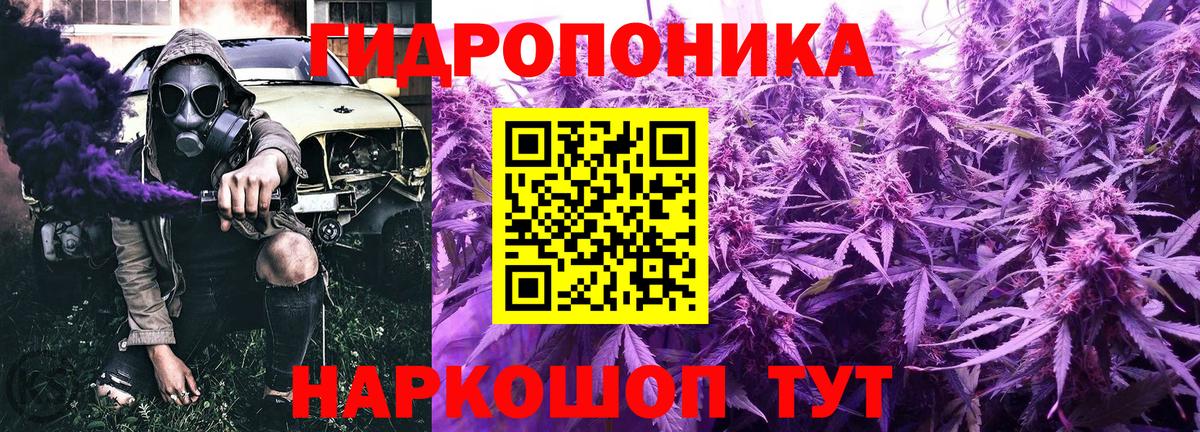 Марихуана конопля Георгиевск